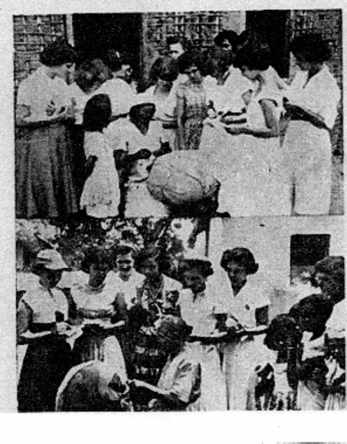 IMAGEM PONTO DE MEMÓRIA BARRA DE RENDA - REGISTROS HISTÓRICOS - RENDEIRAS DE MEAÍPE 07